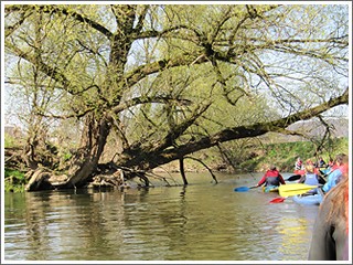 Kanutour auf der Emmer von Steinheim bis zum Emmer-Stausee