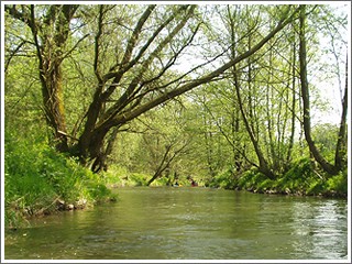 Kanutour auf der Emmer von Steinheim bis zum Emmer-Stausee